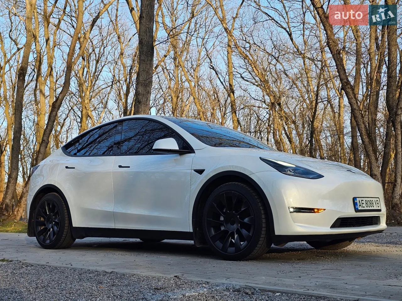 2023 Tesla Model Y - мініатюра 74