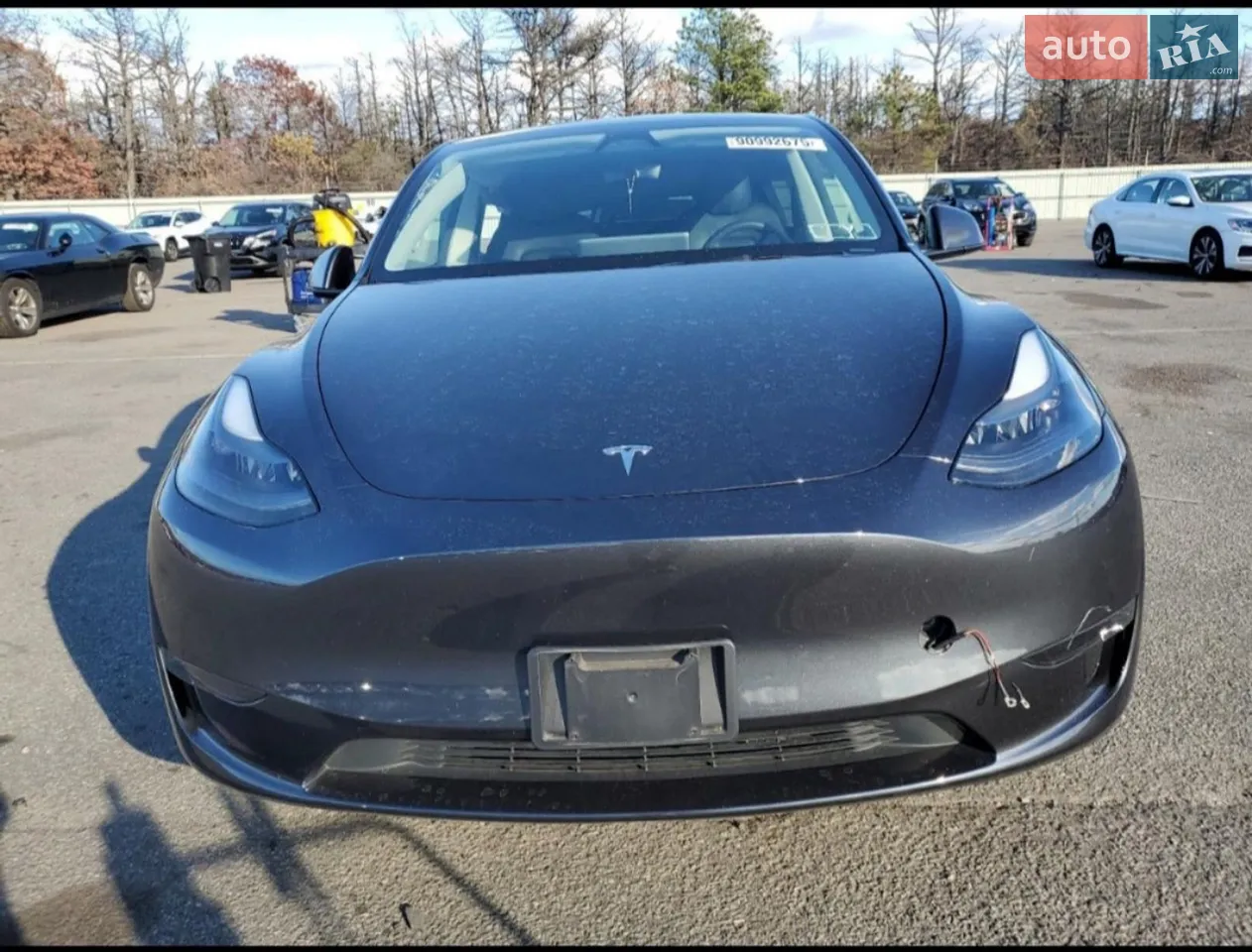 2024 Tesla Model Y - мініатюра 44