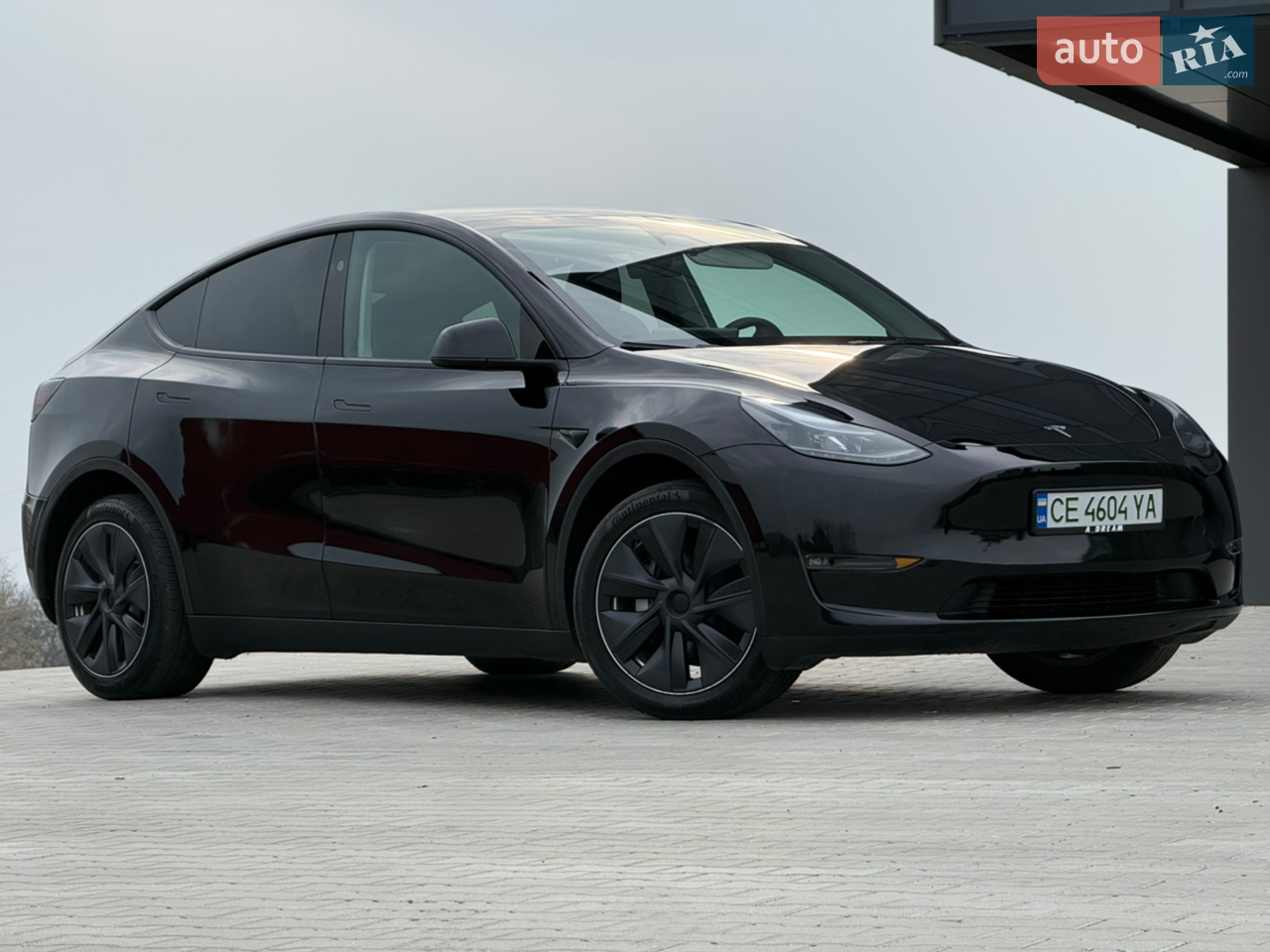 2024 Tesla Model Y - мініатюра 66