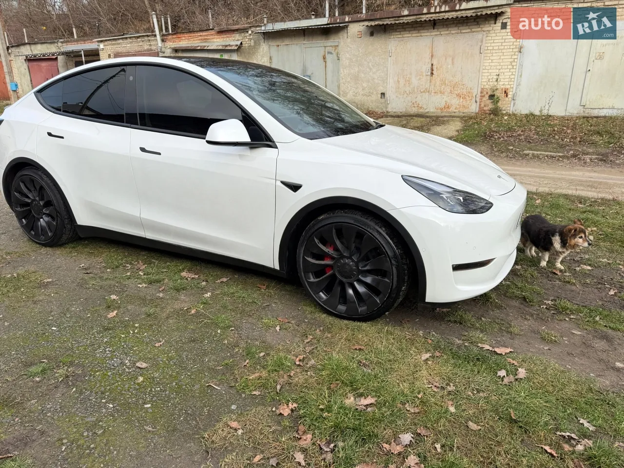 2022 Tesla Model Y - мініатюра 18