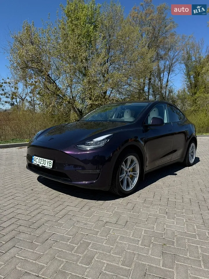 2021 Tesla Model Y - мініатюра 26