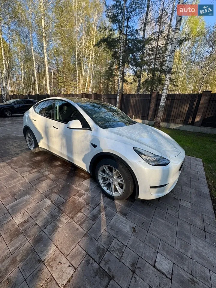 2021 Tesla Model Y - мініатюра 18