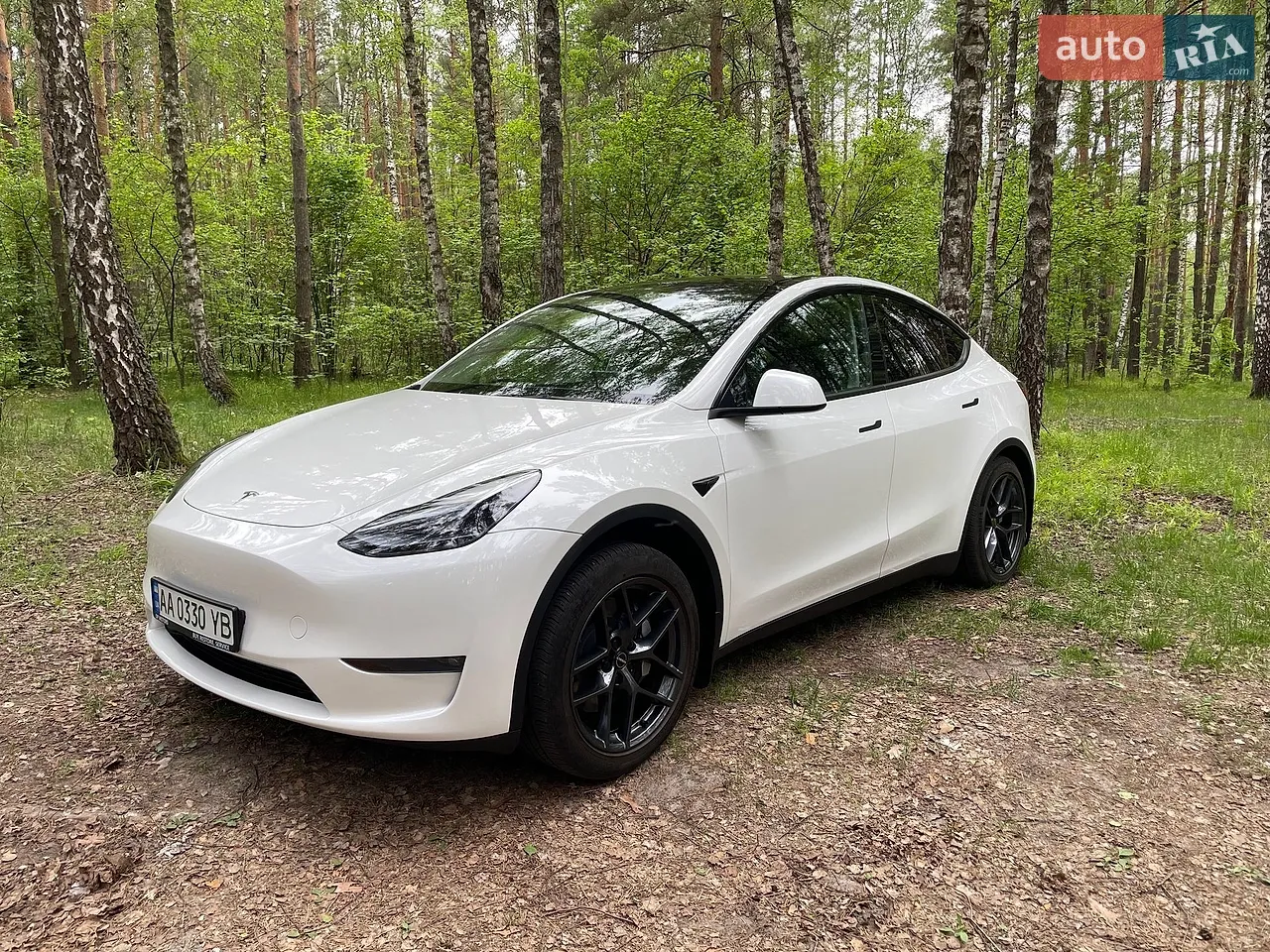 2022 Tesla Model Y - мініатюра 18