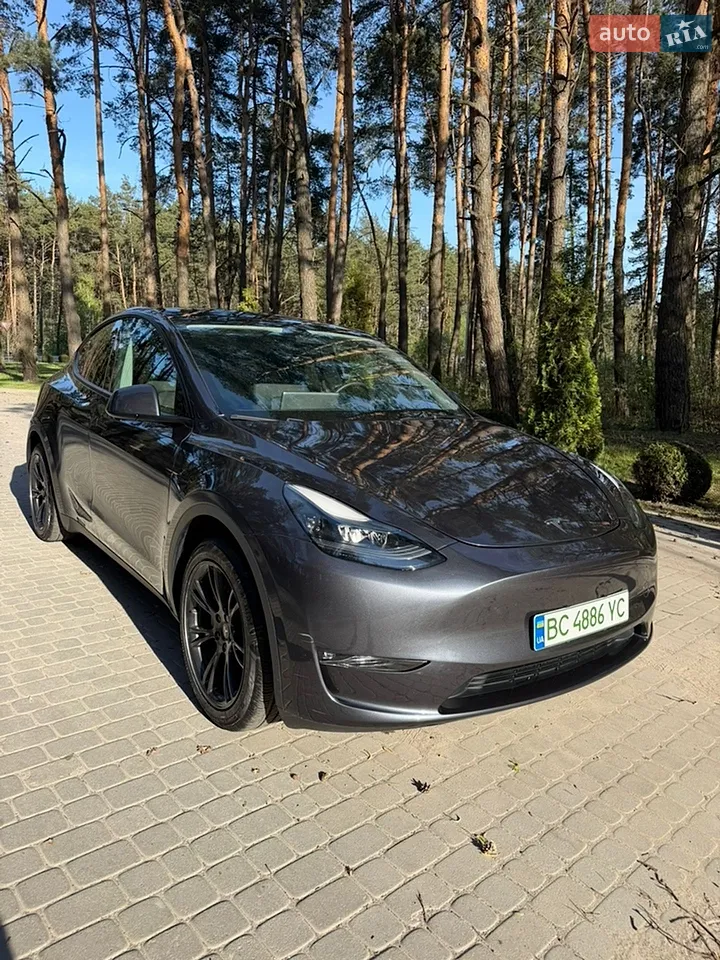 2024 Tesla Model Y - мініатюра 18