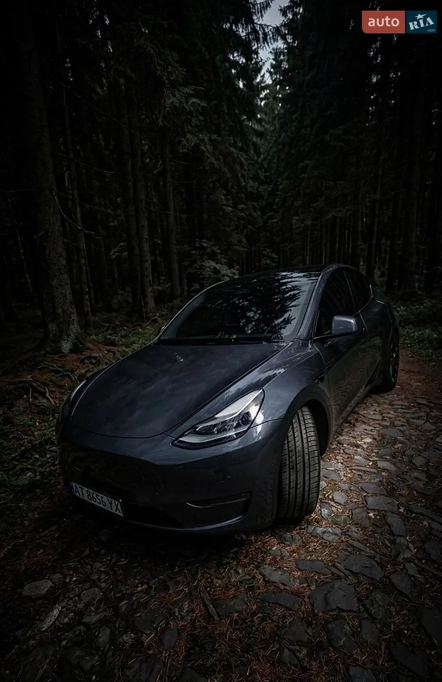 2021 Tesla Model Y - мініатюра 18