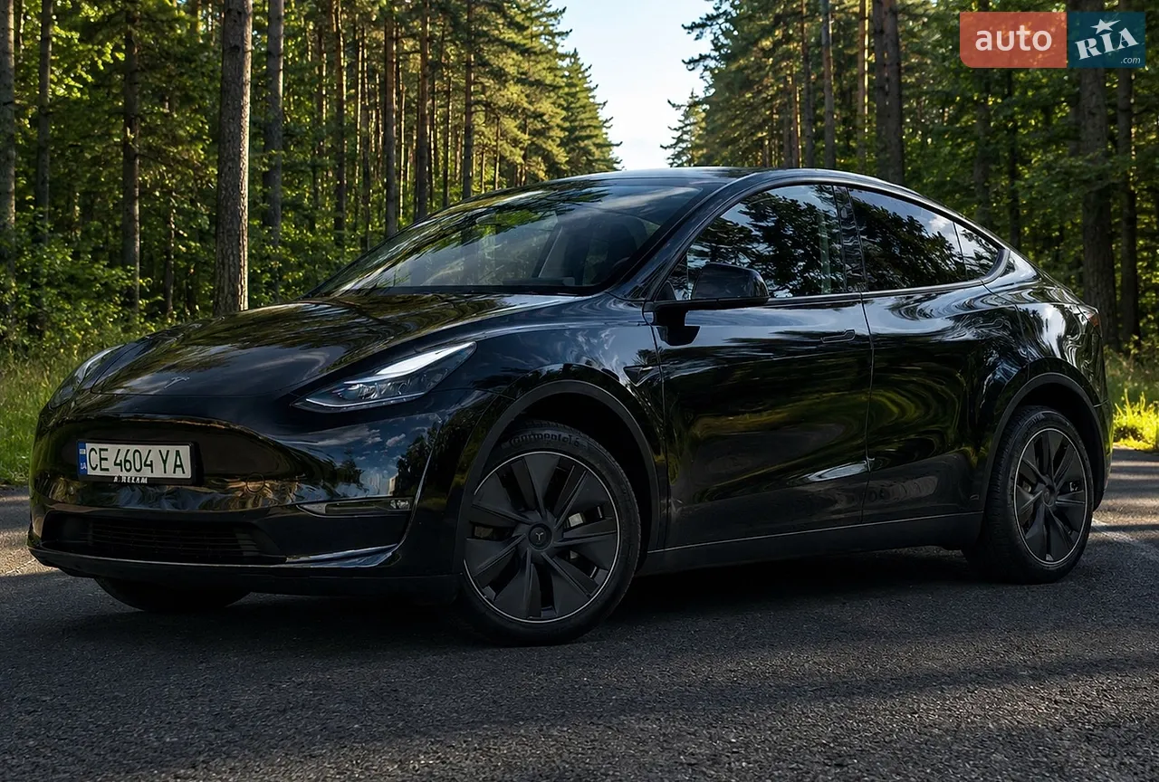 2024 Tesla Model Y - мініатюра 60