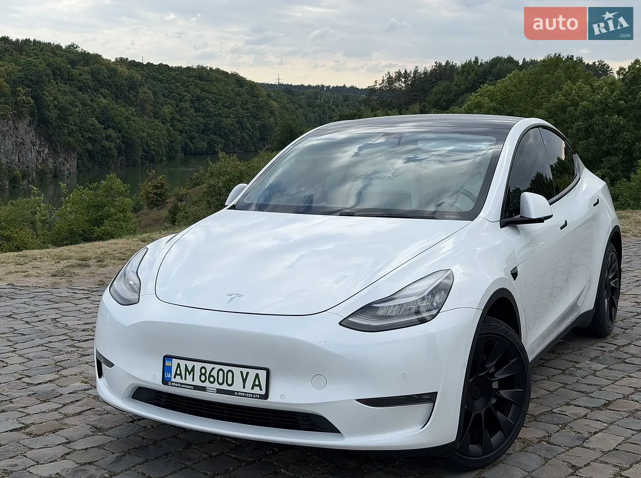 2020 Tesla Model Y - мініатюра 31