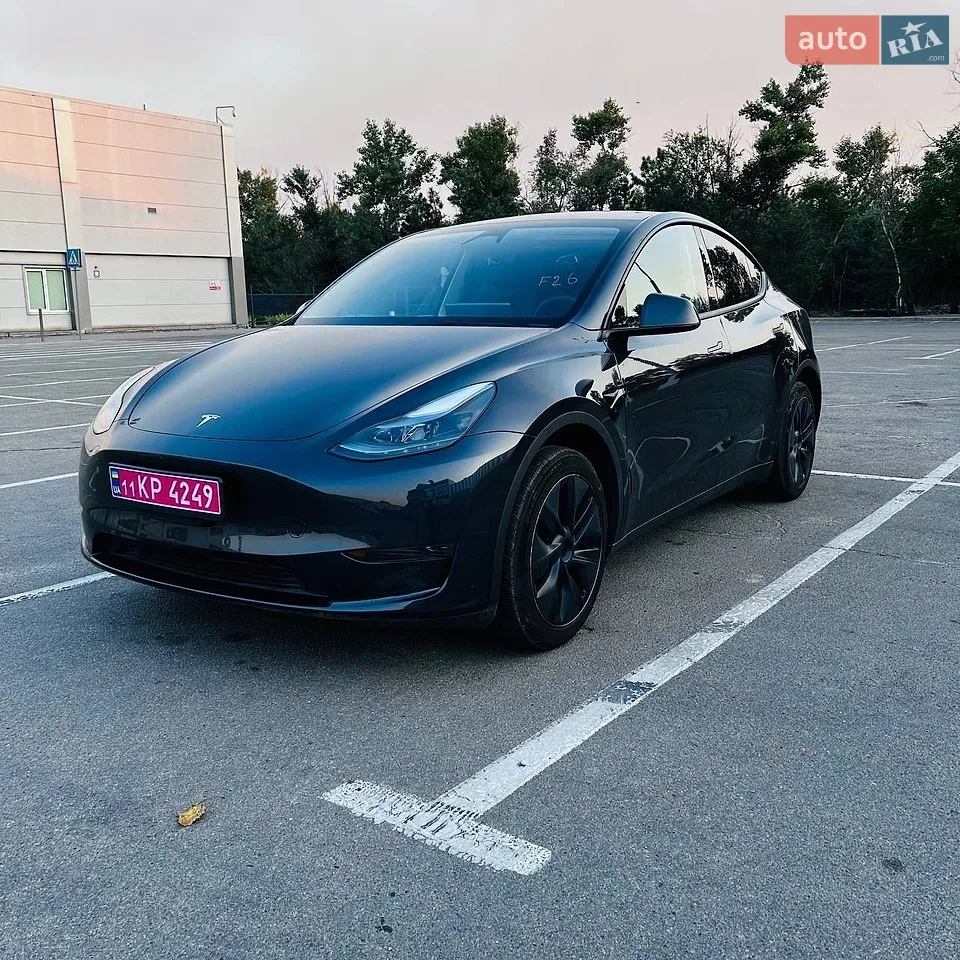2024 Tesla Model Y - мініатюра 19