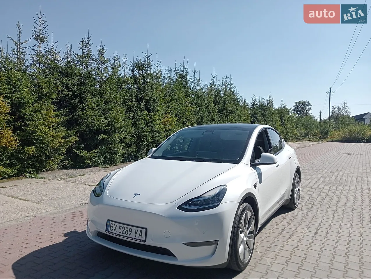 2021 Tesla Model Y - мініатюра 46