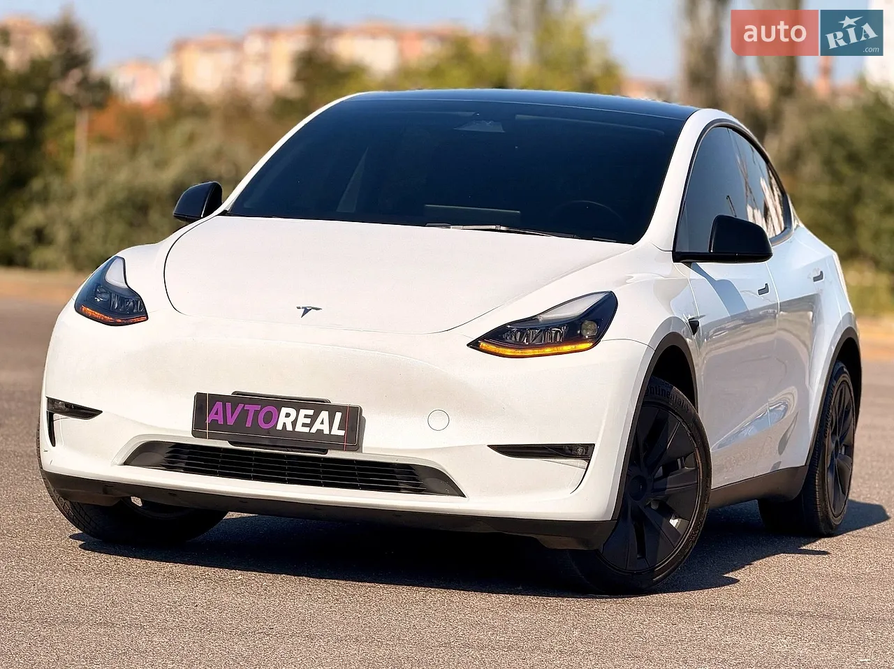 2023 Tesla Model Y - мініатюра 87
