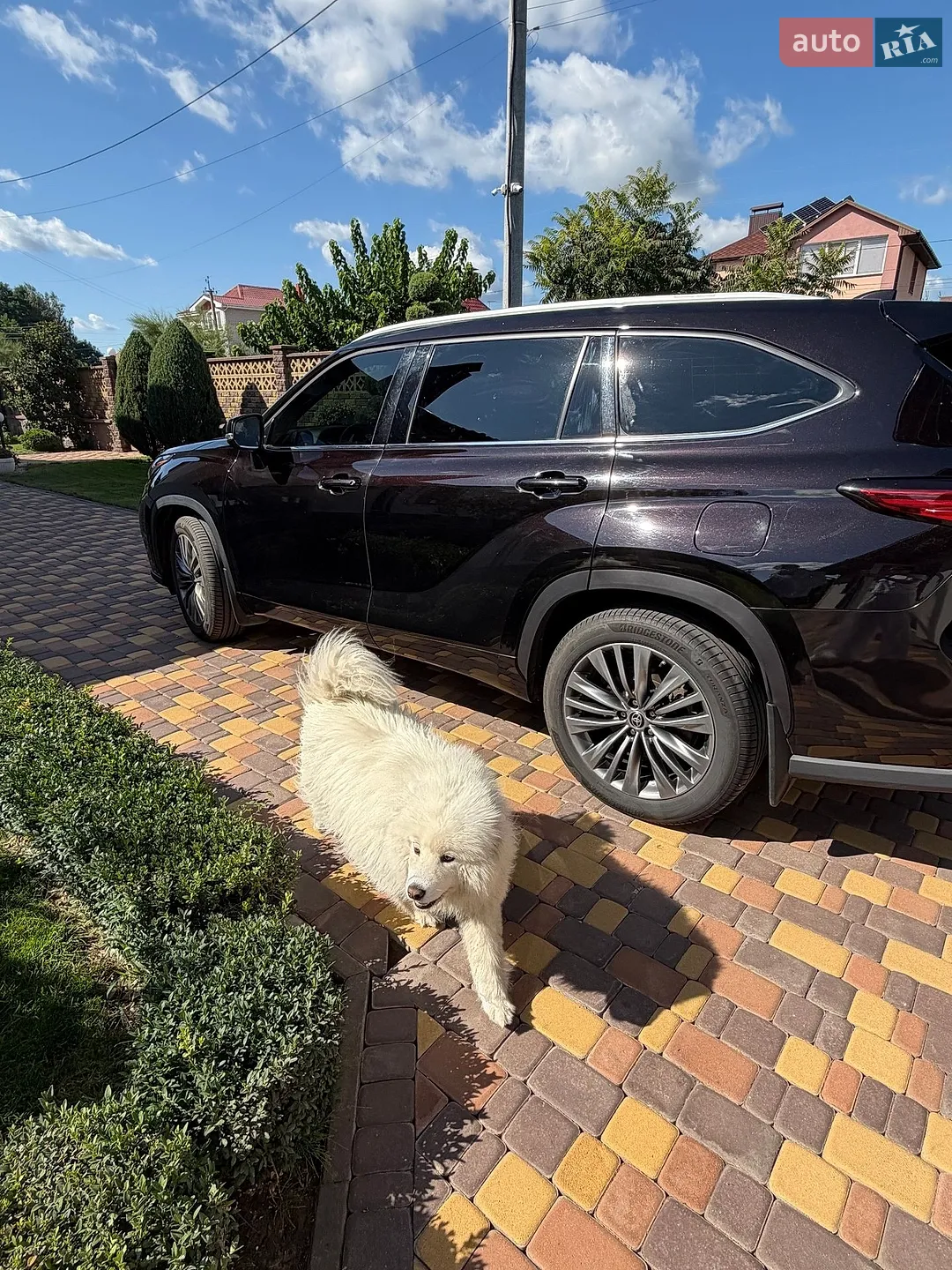 2020 Toyota Highlander - мініатюра 38