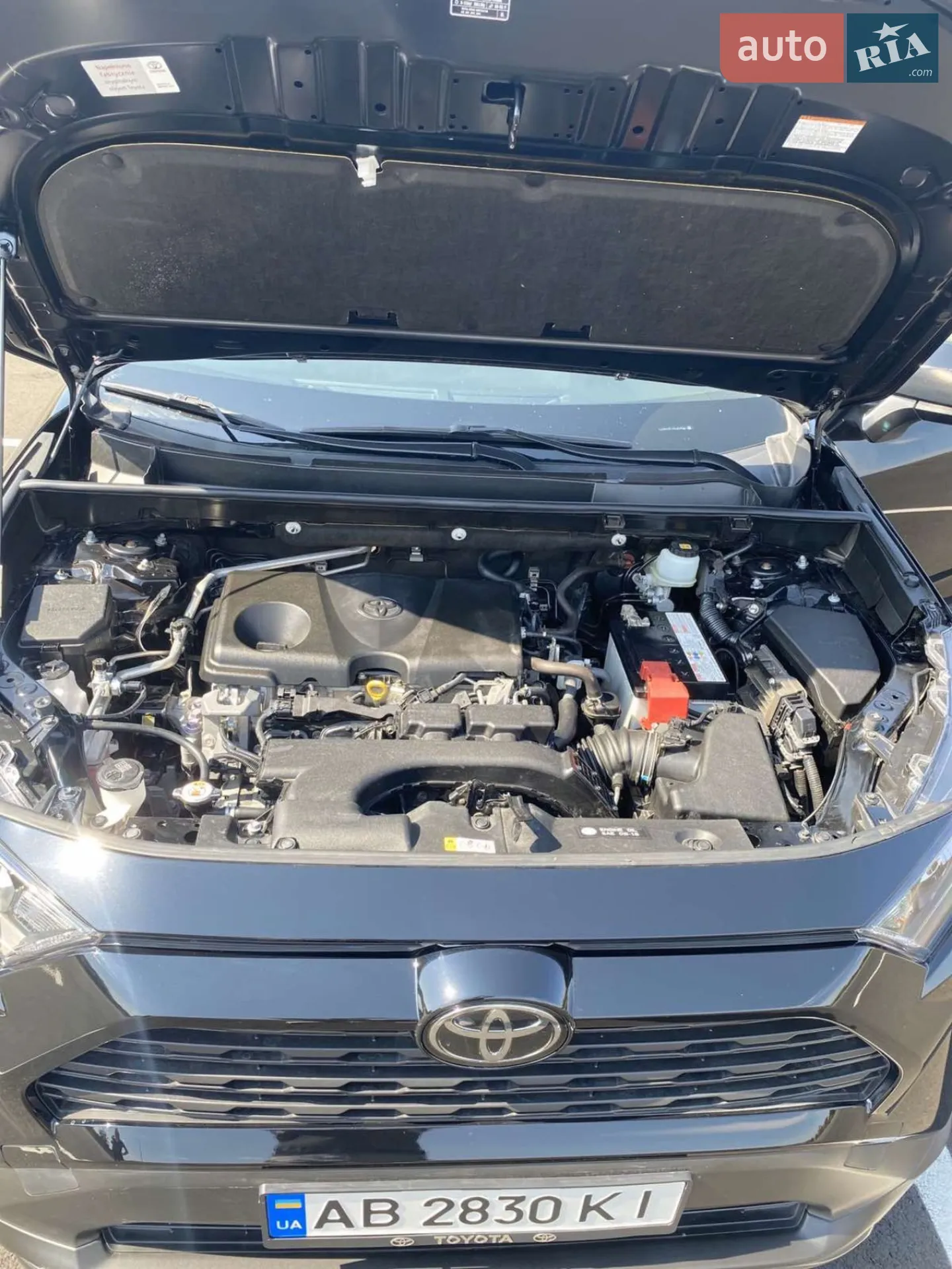 2019 Toyota RAV 4 - мініатюра 15