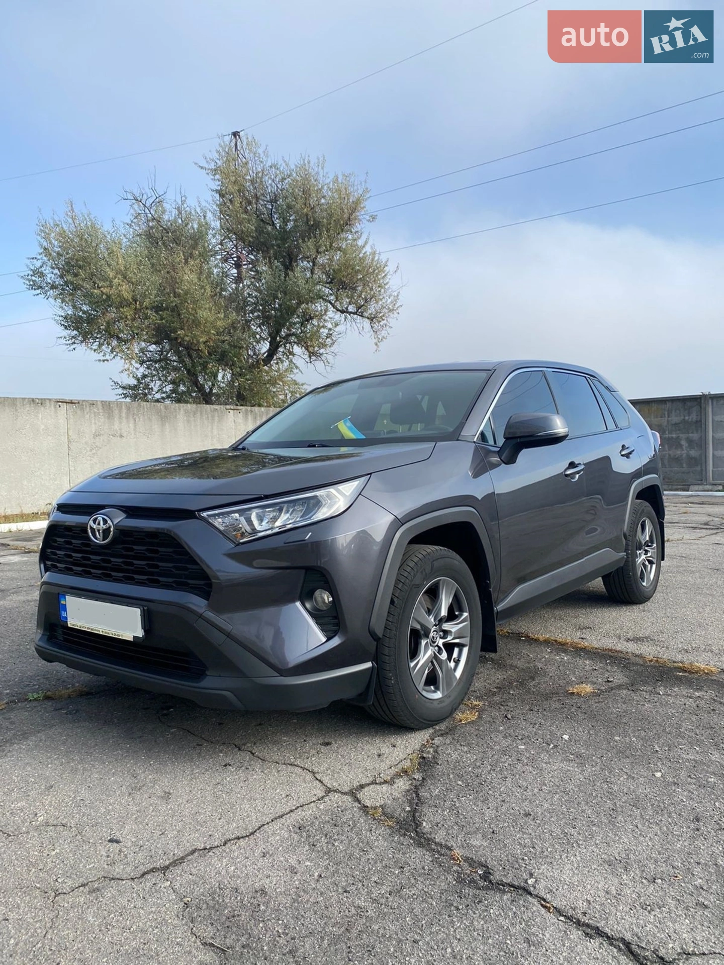 2019 Toyota RAV 4 - фото 1