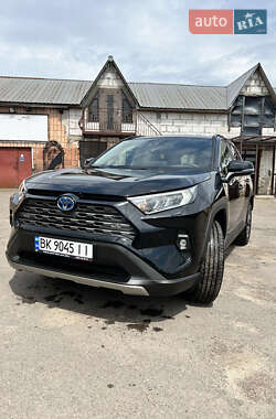 Позашляховик / Кросовер Toyota RAV4 2023 в Рокитному