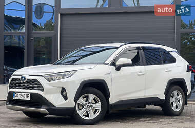 Позашляховик / Кросовер Toyota RAV4 2020 в Рокитному