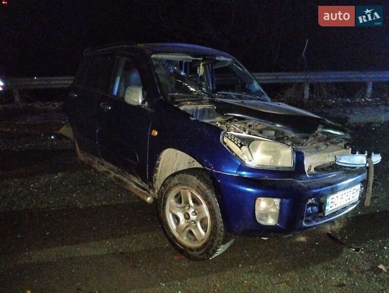Внедорожник / Кроссовер Toyota RAV4 2001 в 