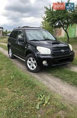 Внедорожник / Кроссовер Toyota RAV4 2004 в Сарнах