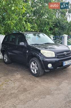 Позашляховик / Кросовер Toyota RAV4 2004 в Дубні
