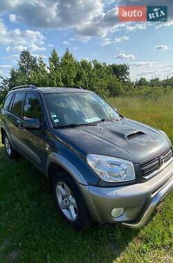 Внедорожник / Кроссовер Toyota RAV4 2005 в Сарнах