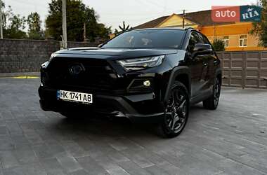 Внедорожник / Кроссовер Toyota RAV4 2024 в 