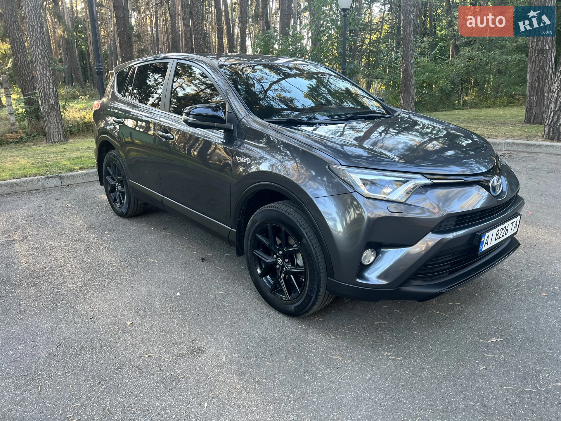 2018 Toyota RAV 4 - мініатюра 2
