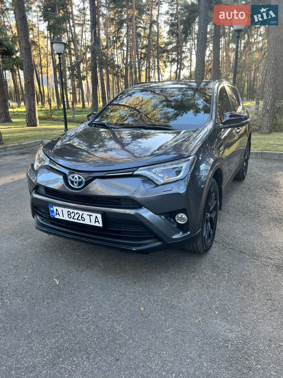 2019 Toyota RAV 4 - мініатюра 47