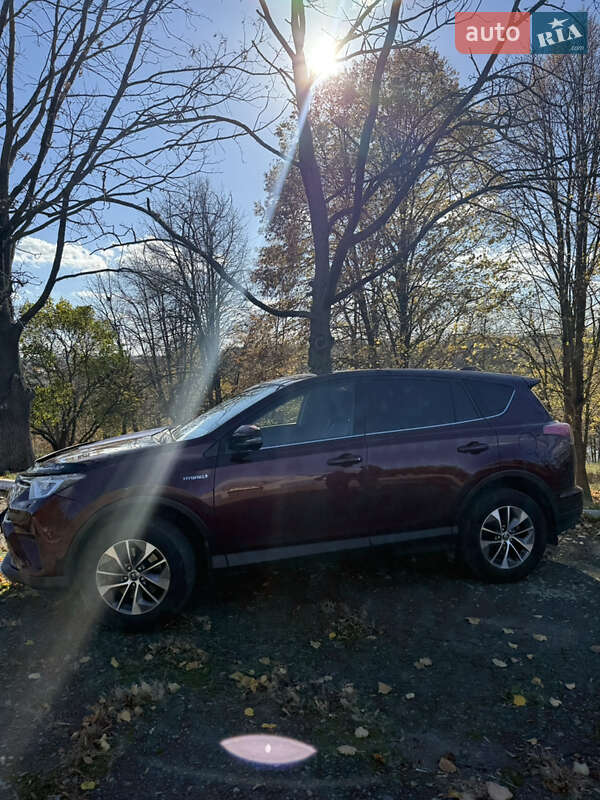 Позашляховик / Кросовер Toyota RAV4 2017 в Тетієві