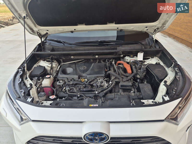 Внедорожник / Кроссовер Toyota RAV4 2019 в Броварах фото 11 Внедорожник / Кроссовер Toyota RAV4 2019 в Броварах