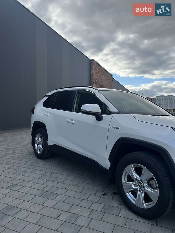 Внедорожник / Кроссовер Toyota RAV4 2021 в Хмельницком фото 11 Внедорожник / Кроссовер Toyota RAV4 2021 в Хмельницком