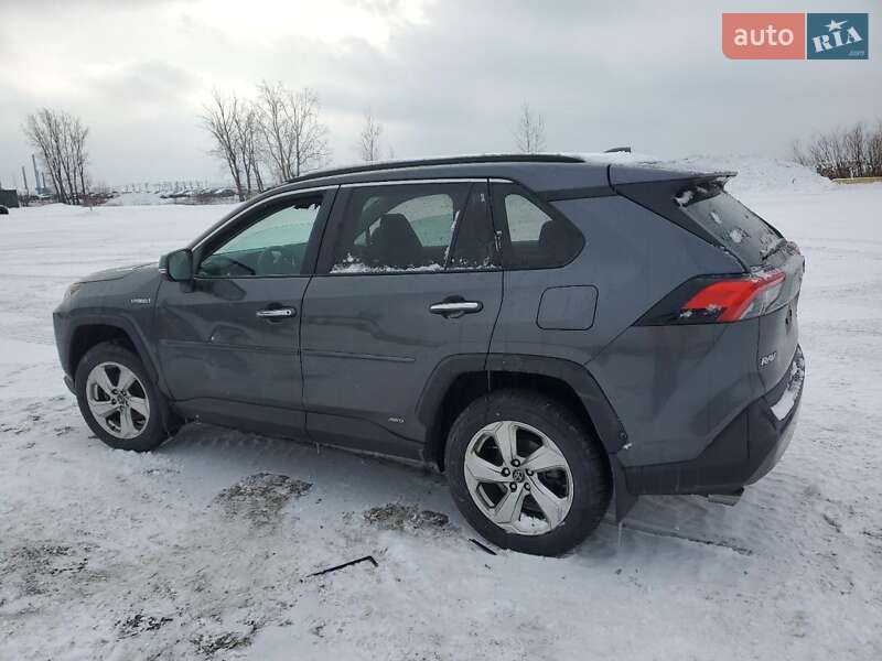 Внедорожник / Кроссовер Toyota RAV4 2021 в Львове фото 2 Внедорожник / Кроссовер Toyota RAV4 2021 в Львове