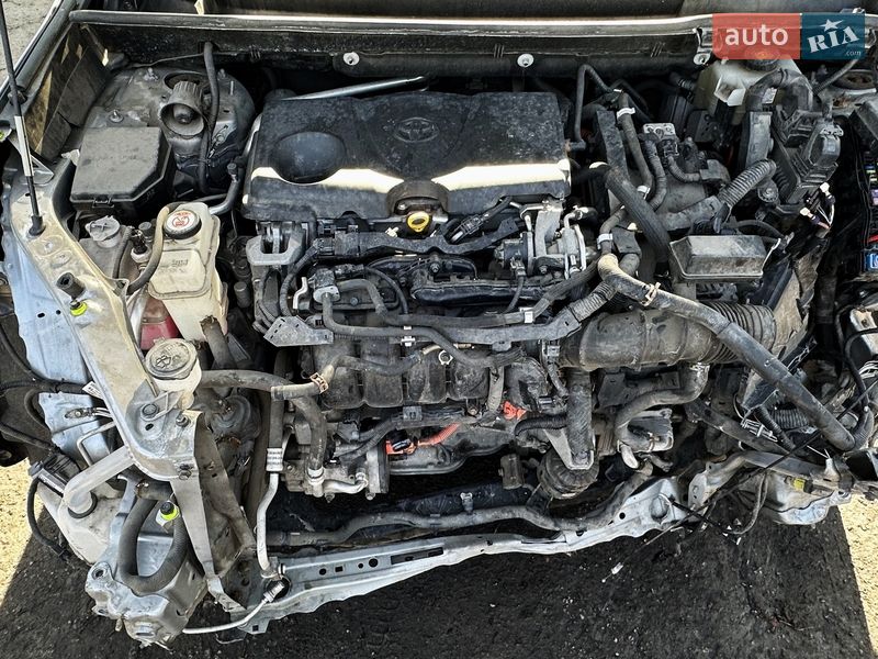 Внедорожник / Кроссовер Toyota RAV4 2019 в Киеве