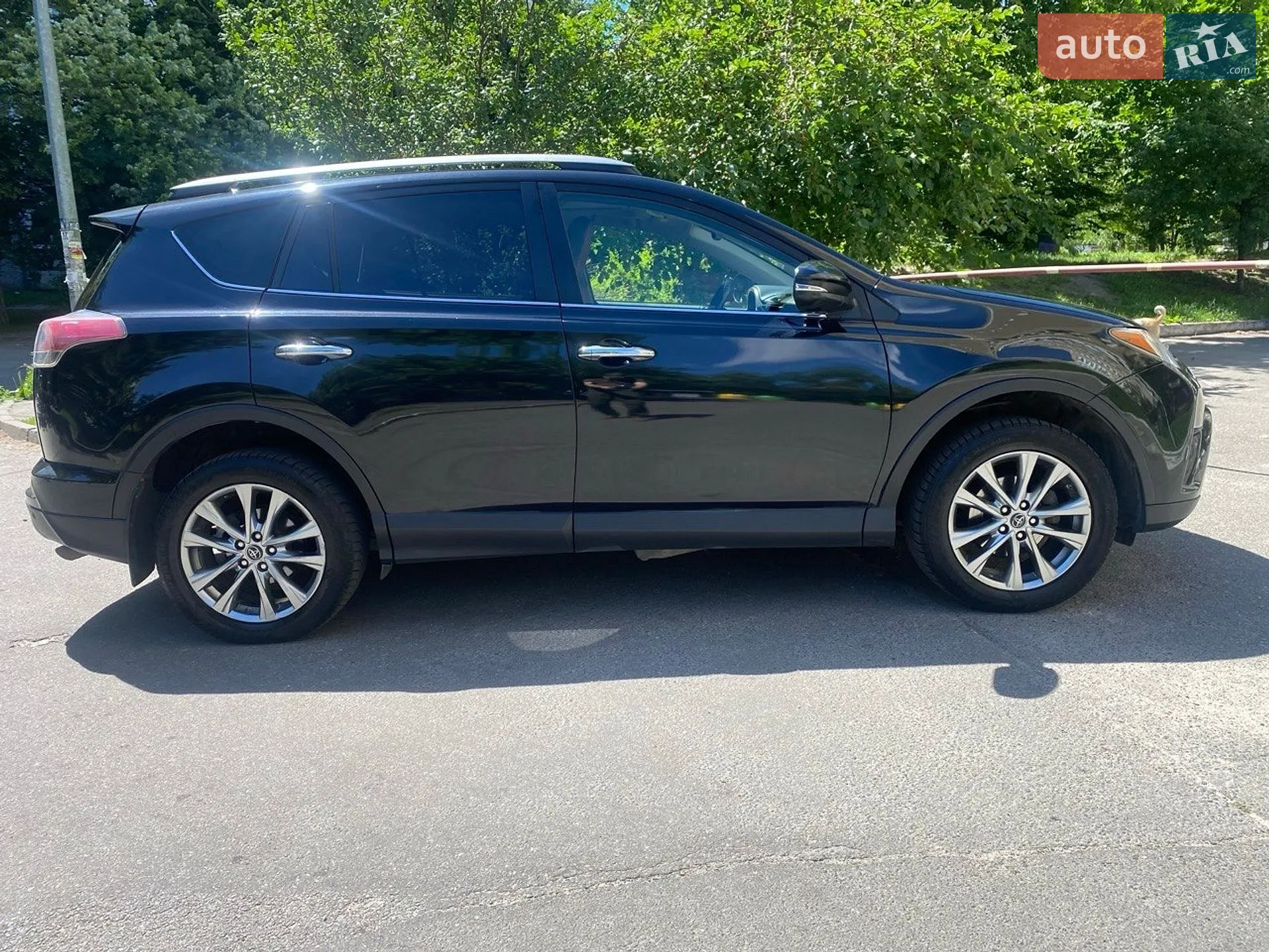 2016 Toyota RAV 4 - мініатюра 7
