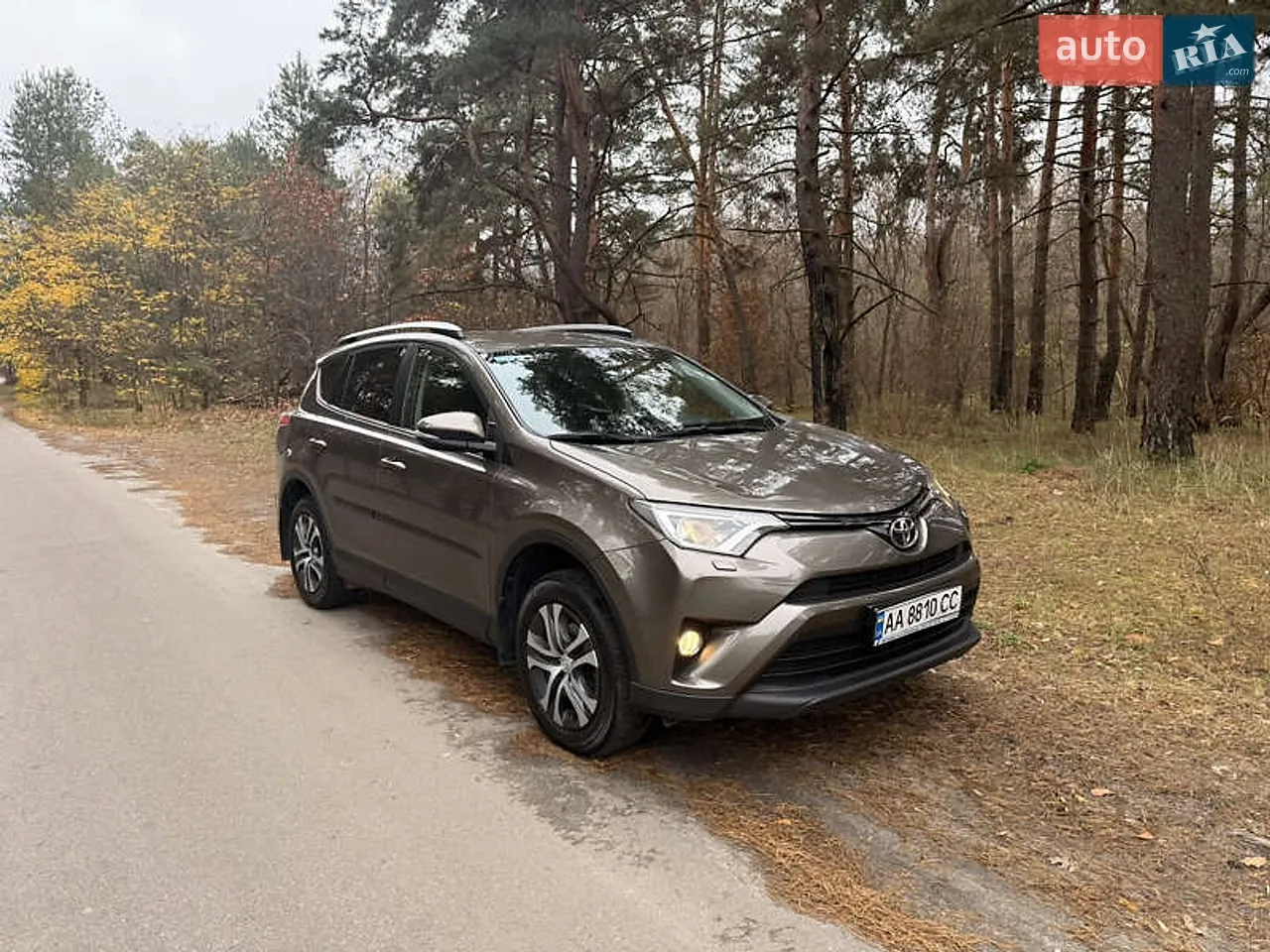2017 Toyota RAV 4 - мініатюра 18