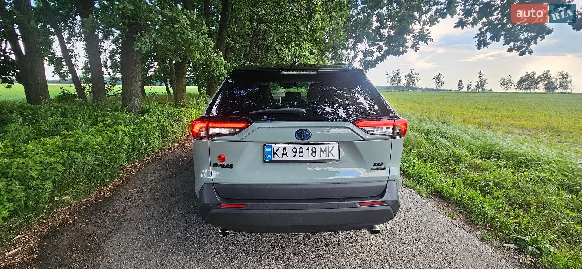 2022 Toyota RAV 4 - мініатюра 6