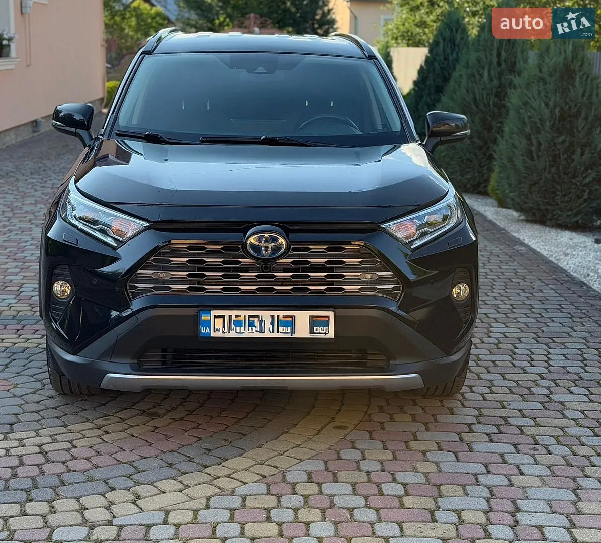 2019 Toyota RAV 4 - мініатюра 2