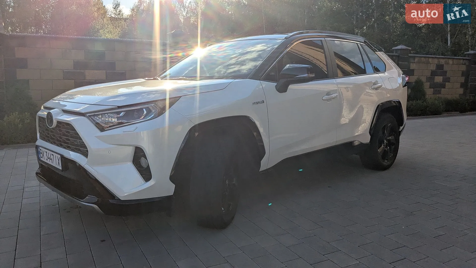 2018 Toyota RAV 4 - мініатюра 12