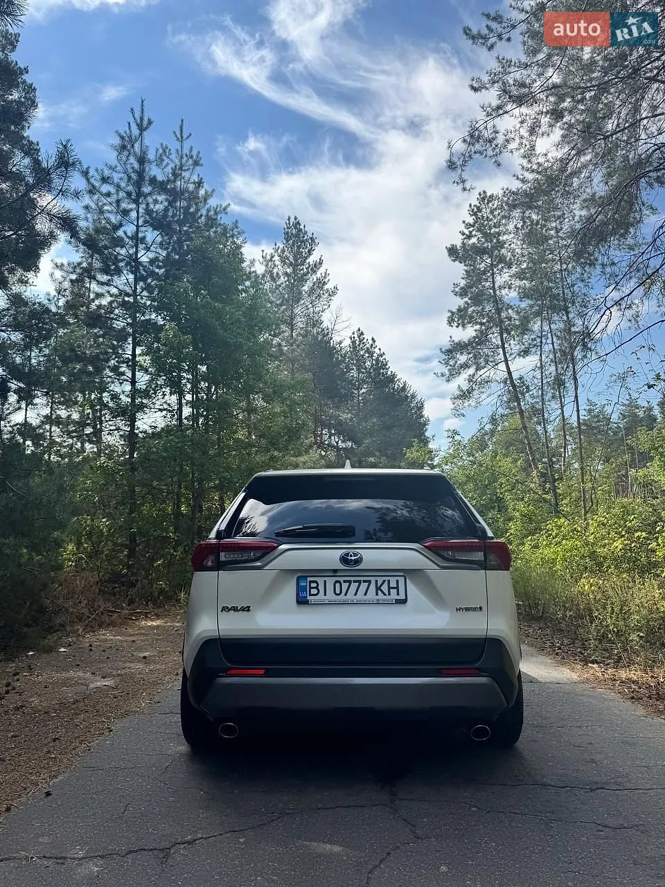 2019 Toyota RAV 4 - мініатюра 4