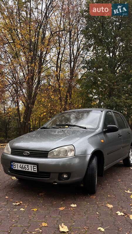 Универсал ВАЗ / Lada 1117 Калина 2008 в Миргороде
