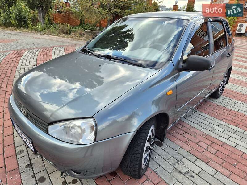 Универсал ВАЗ / Lada 1117 Калина 2008 в Запорожье