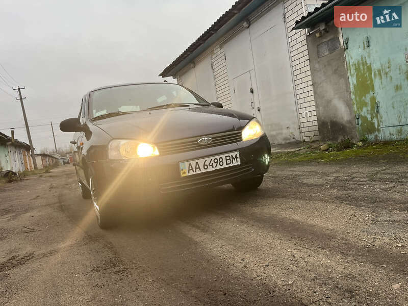 Универсал ВАЗ / Lada 1117 Калина 2008 в Житомире