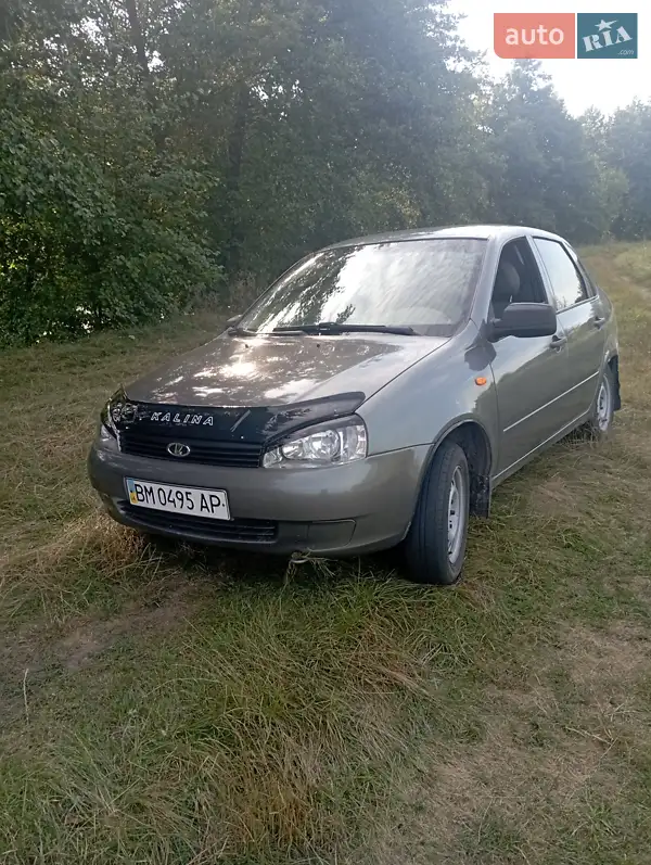 ВАЗ / Lada 1118 Калина 2010