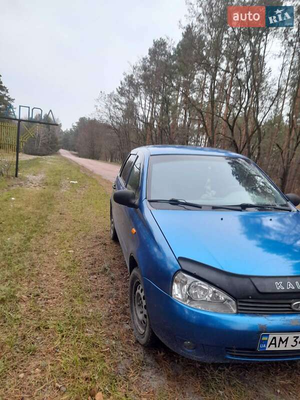 Хэтчбек ВАЗ / Lada 1119 Калина 2007 в Олевске