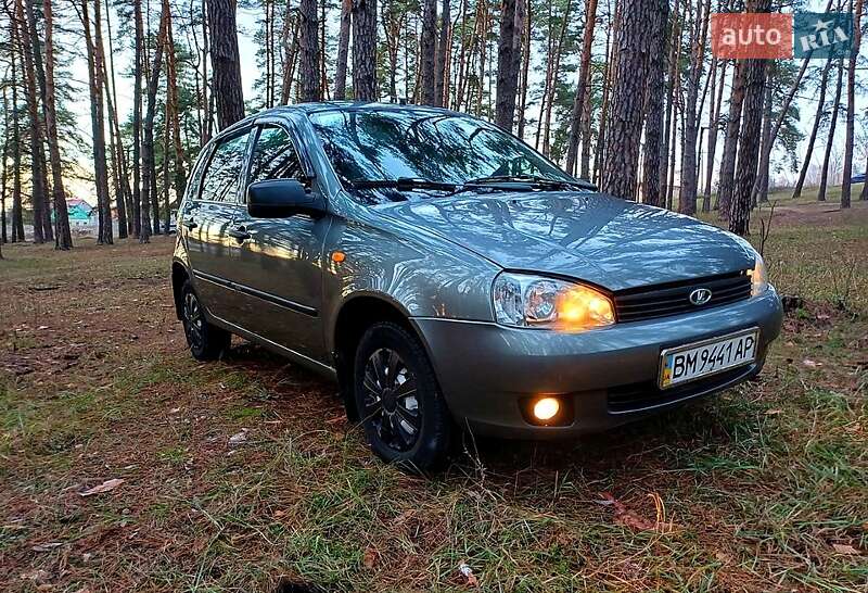 Хэтчбек ВАЗ / Lada 1119 Калина 2011 в Сумах фото 2 Хэтчбек ВАЗ / Lada 1119 Калина 2011 в Сумах