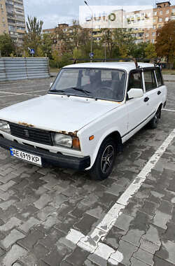 Универсал ВАЗ / Lada 2104 2008 в Кривом Роге