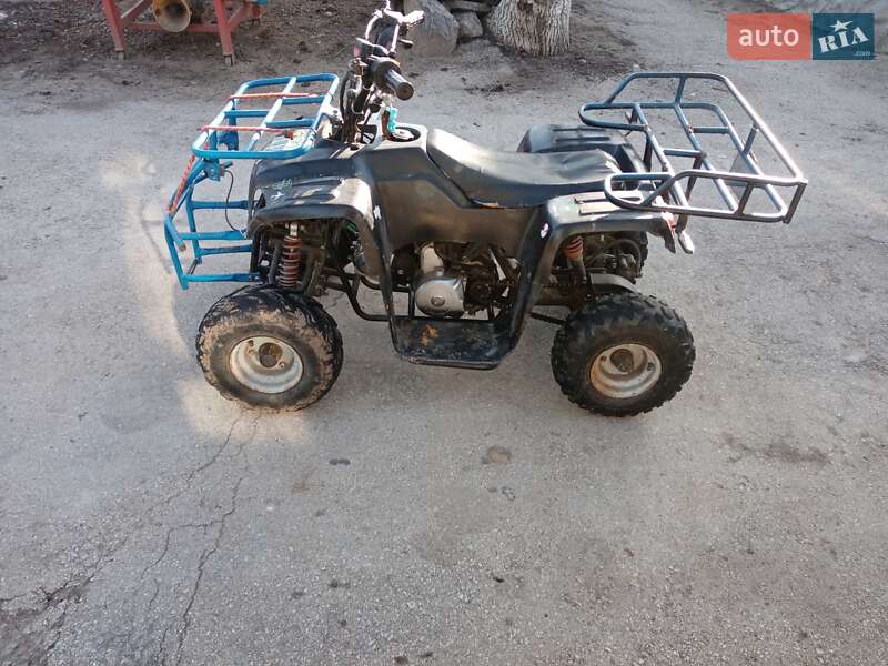 Viper 100 2006