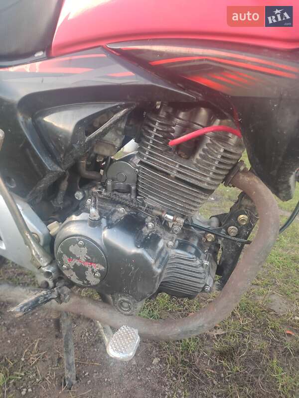 Грузовые мотороллеры, мотоциклы, скутеры, мопеды Viper V 200N 2014 в Бершади фото 3 Грузовые мотороллеры, мотоциклы, скутеры, мопеды Viper V 200N 2014 в Бершади