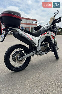 Мотоцикл Внедорожный (Enduro) Voge 300 Rally 2021 в 