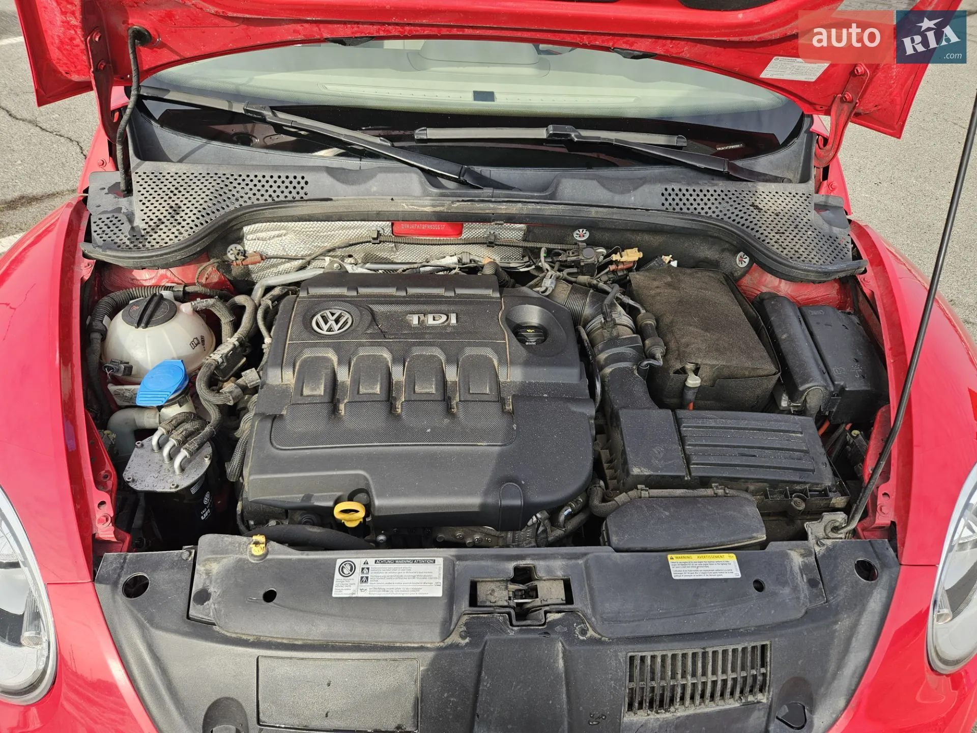 2015 Volkswagen Beetle - мініатюра 8