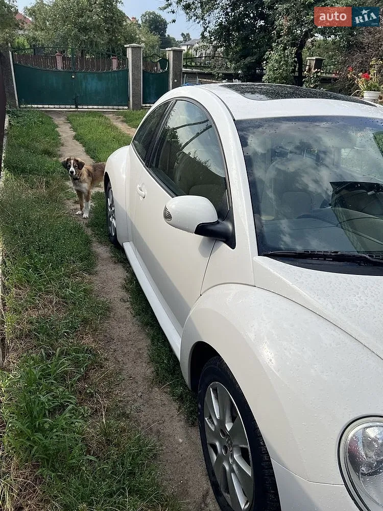 2010 Volkswagen Beetle - мініатюра 11
