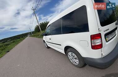 Мінівен Volkswagen Caddy 2008 в Тернополі